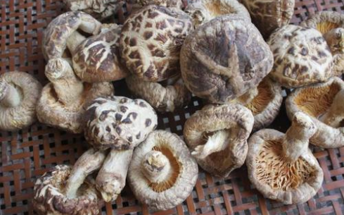 椴木花菇怎么吃才會更加美味營養