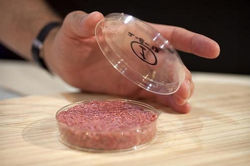 “人造肉”熱潮，未來將替代60%肉制品？